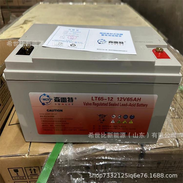 森雷特蓄电池LT65-12弱电机房12V6太阳能/风能发电储能系统