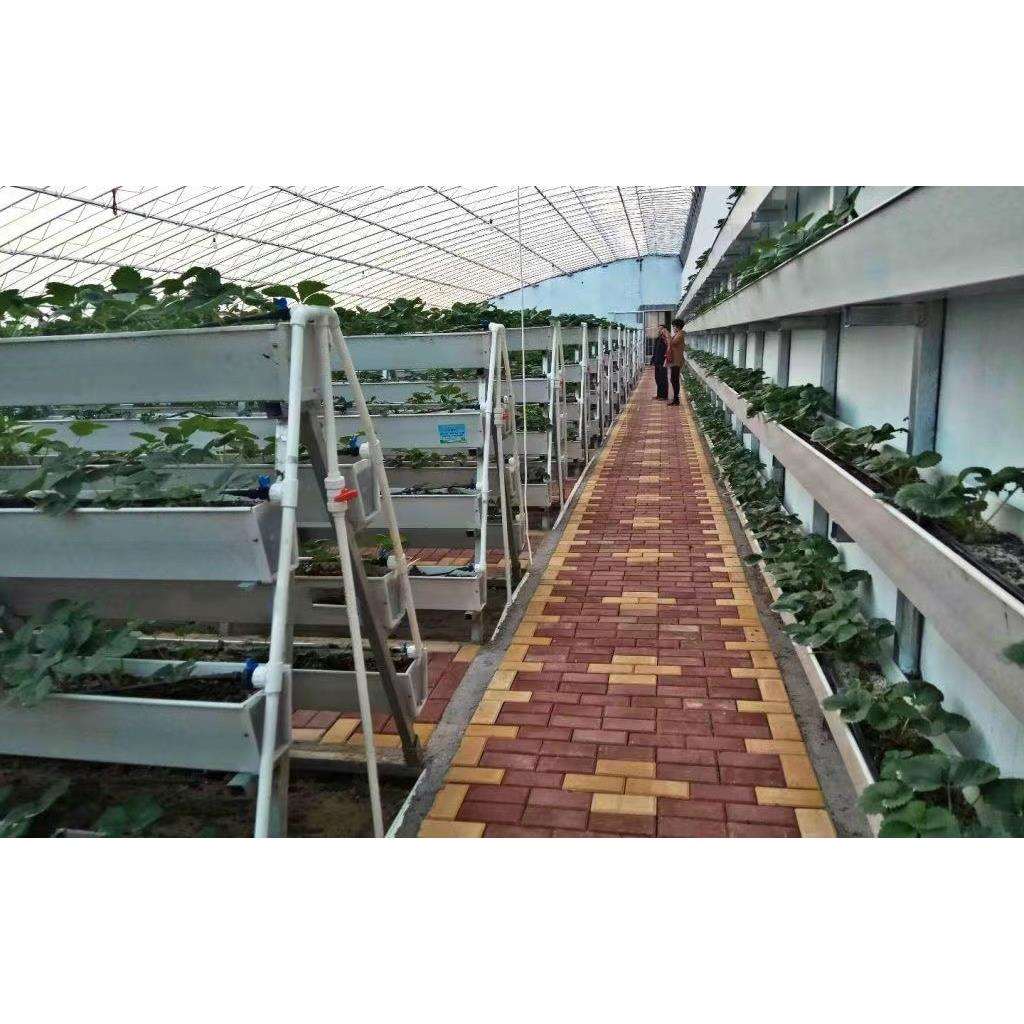 无土栽培草莓种植槽A字架种植槽水培营养种植槽蔬菜育苗槽定.制