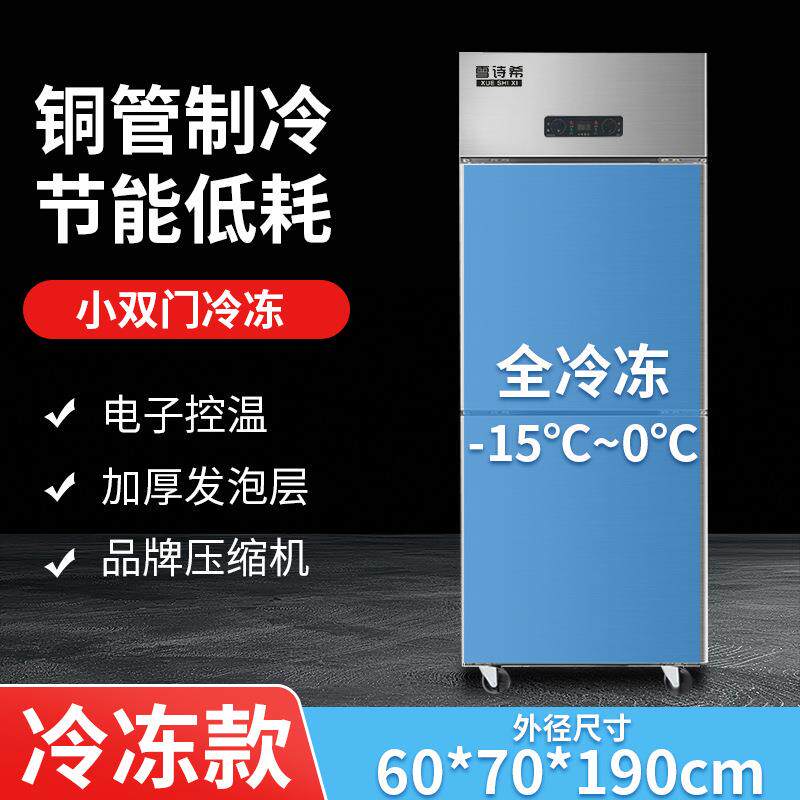 商用小双门全冷藏全冷冻商用冰柜展示饭店冷冻柜大容量厨房专用柜