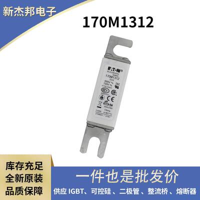 快速熔断器 保险丝作用170M1312 170M1313货源充足高压熔断器