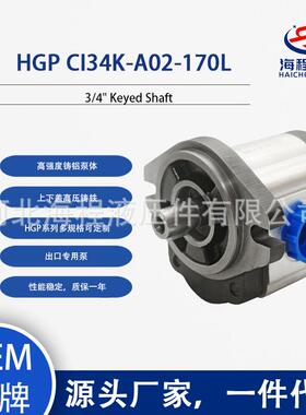 HGP CI34K-A02-170L 液压泵 出口专用 3/4