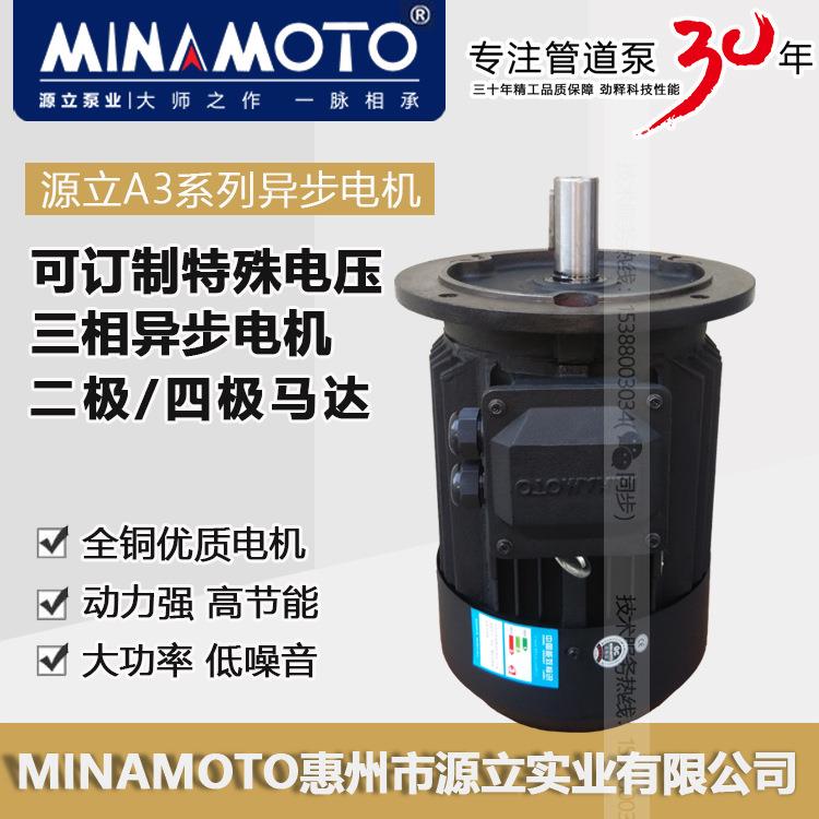 源立水泵管道循环泵原装马达配件二极A3系列三相异步电机Y2-801-2