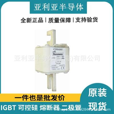 170M4066 170M4141 170M4145 直流快速熔断器 保险丝 原厂原盒