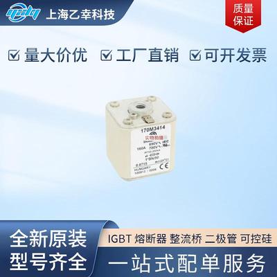 巴斯曼熔断器 170M3708 170M3709 170M3710 170M3711 170M3712