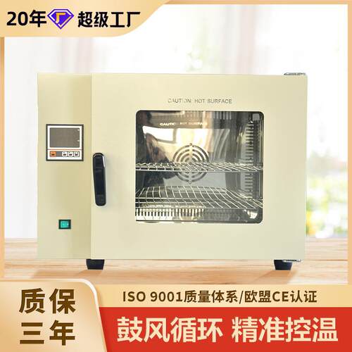 中新电热鼓风循环台式干燥箱仪器仪表恒温恒湿箱高低温实验箱DHG