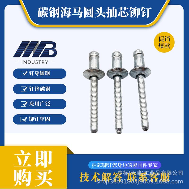 霸牌全铁海马抽芯拉铆钉M6.4*10.5φ4.8/6.4汽车结构型铆钉轻乐型