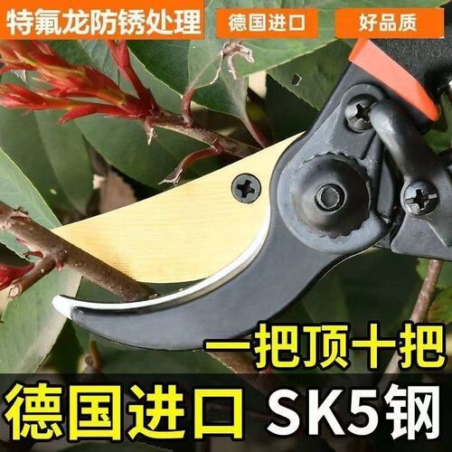 德国进口SK5强力园艺不锈钢省力修剪果树粗枝树枝专用剪子