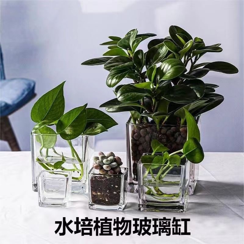 简约水培花盆正方形玻璃花瓶透明绿萝水养植物器皿乌龟缸摆件插花