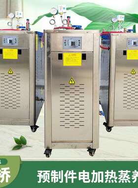 冬季桥梁蒸汽养护设备 48kwx消毒熨烫蒸煮洗车电热蒸汽 现货