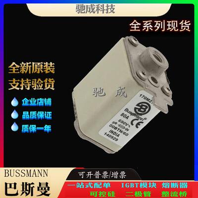 巴斯曼170M2762 170M2763 170M2764 经销直销价优 低压熔断器