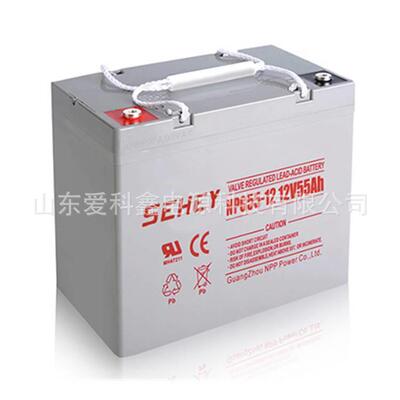 SEHEY西力蓄电池 NPG55-12 12V55AH 光伏太阳能免维护胶体电池
