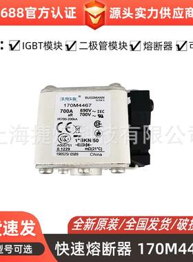 低压快速熔断器170M4467 170M4661 170M4813 量大价优 规格齐全