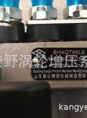 原装喷油泵 BH4QT95L9 4QTD872和 4QTD018和1111300JFW 4QTD1051