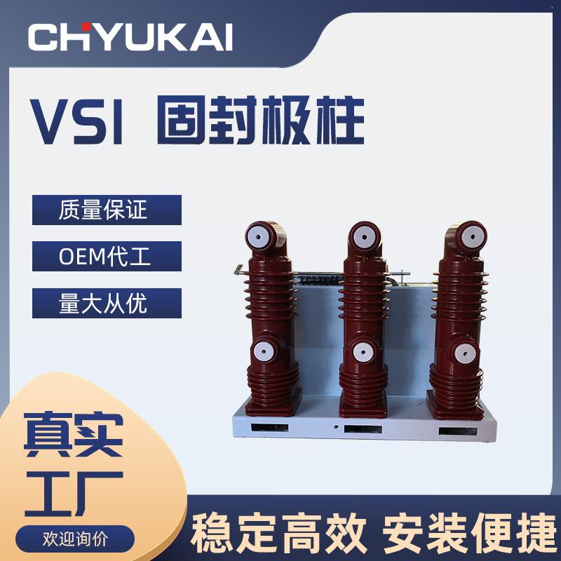 断路器VS1-12/630A固封极柱式真空断路器10KV固定式高压真空开关