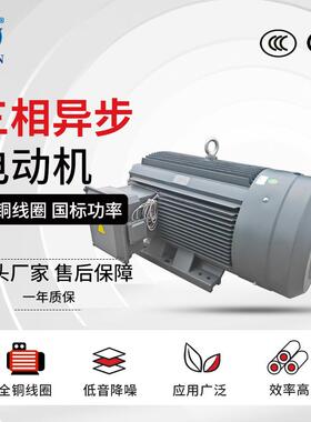 4极三相异步电动机 YE3-225S/M-4国标电机 37/45KW全铜铁壳马达