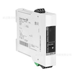 B2B1A原装 H恩德斯豪斯物位开关FTW325