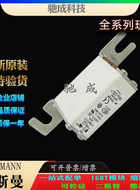 巴斯曼170M1313 170M1314 170M1315 原装进口价优 快速保险丝