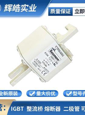 170M2683 170M2684 低压快速恢复熔断器配件 电子元器件