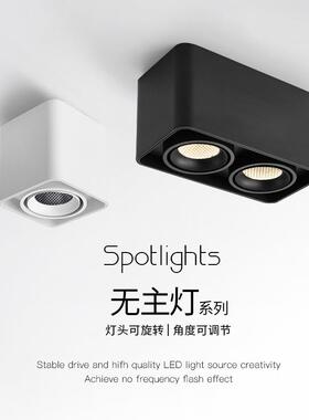 诺尔德明装双头射灯led天花灯吸顶式斗胆灯客厅筒灯卧室cob无主灯