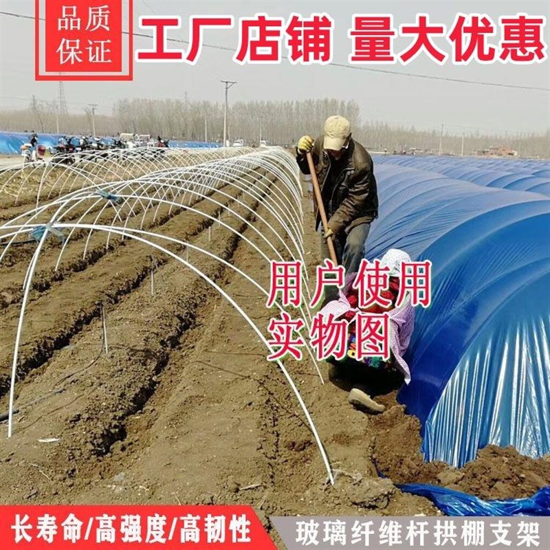 小拱棚支架玻璃纤维杆大棚骨架配件新型搭棚育苗种菜棚架蔬菜种菜