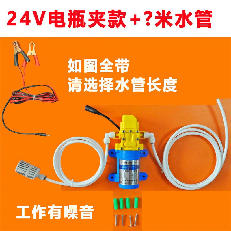 桶装水抽水器12V车载24V房车纯净水吸水器P龙头上水饮用水抽水泵