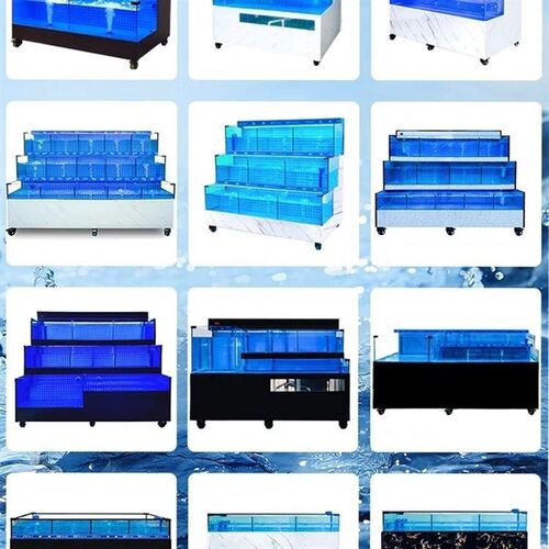 移动海鲜池商用制冷机一体水产海鲜缸贝类池饭店海鲜鱼缸商用制作