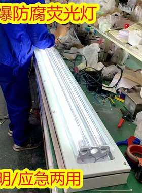 供应腾达双管防爆防腐全塑荧光灯照明应急两用型30wled灯
