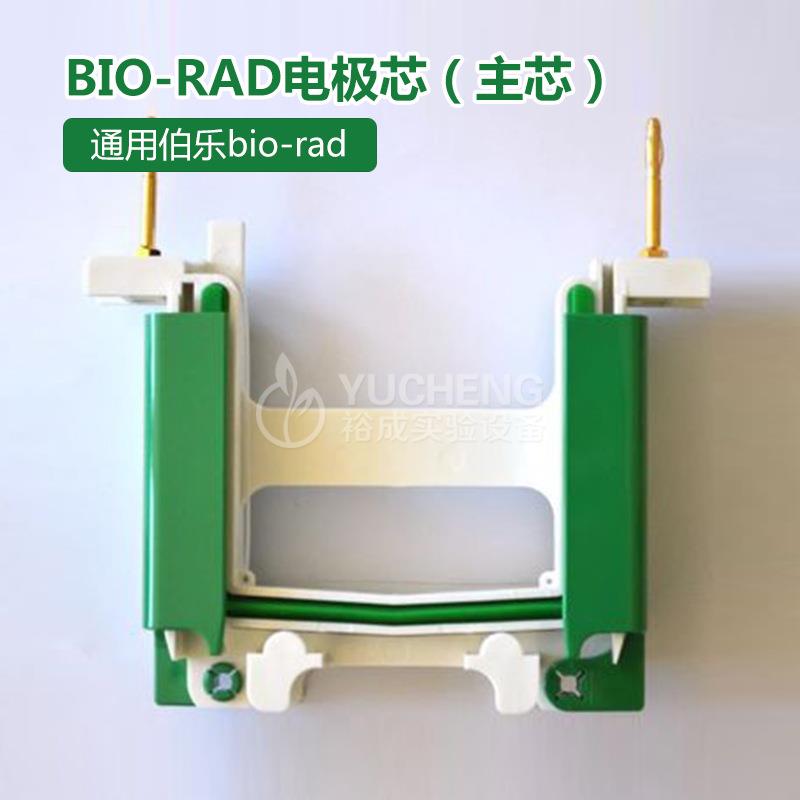 通用伯乐bio-rad电极芯电泳配件耗材 电泳槽电极芯 主/副 1658037