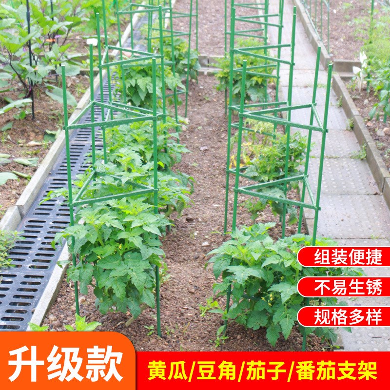 西瓜爬藤架子番茄支架三角架豆角黄瓜架植物爬藤架花架拼接支撑杆