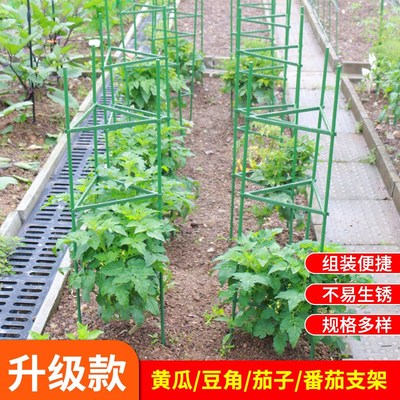 西瓜爬藤架子番茄支架三角架豆角黄瓜架植物爬藤架花架拼接支撑杆