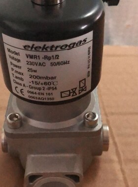 VMR1   DN15电磁阀
