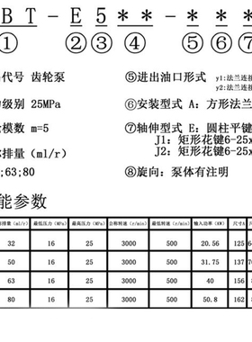 液压油泵高压齿轮泵CBN-G532/550油压泵CBT-G563/G532齿轮泵配件