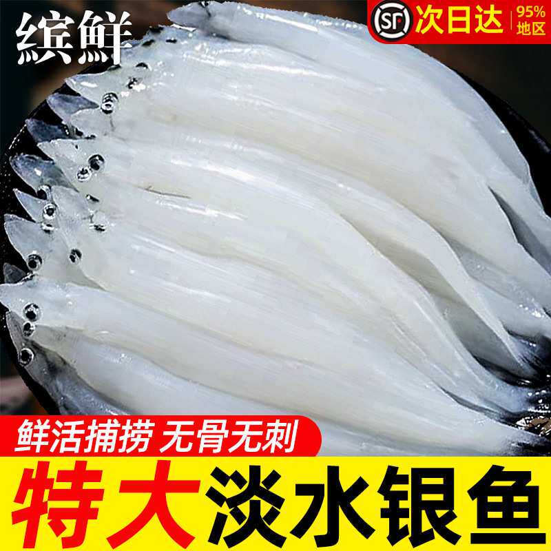 特大号新鲜银鱼淡水小银鱼鲜活冷冻面条鱼非太湖三白鱼送宝宝辅食
