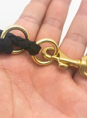 6mm专业新款黄色狗狗比赛P链绳宠物训练牵引带金毛拉布拉多柯基犬