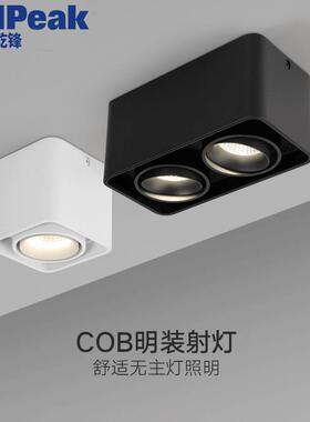 无主灯led科瑞芯片明装筒灯cob天花吸顶方形双头射灯高显色超亮