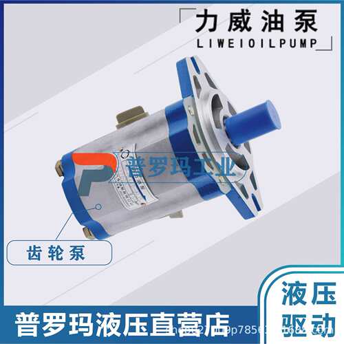 合肥力威3407020-454-ZC10力威客汽车动力泵转向泵QC12/13-D10WX