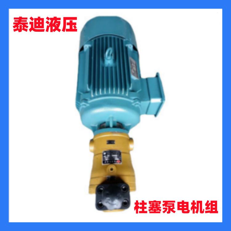 10 16 25 40 63 80 160 250SCY14-1B柱塞泵电机组 压力31.5MPa
