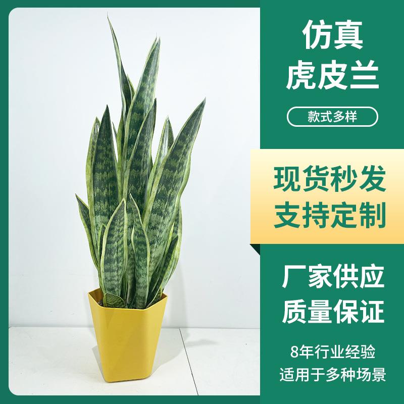北欧仿真绿植金边虎皮兰盆栽室内客厅造景花卉道具假绿植落地装饰