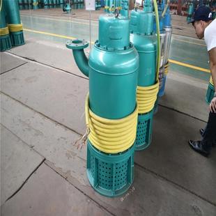 供应200KW矿用隔爆型排污排沙潜水电泵 BQS系列矿用排污泵参数
