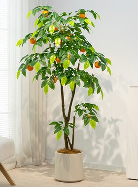 仿真柠檬树绿植盆栽植物服装店绿植橱窗装饰仿V生假绿植橘子树