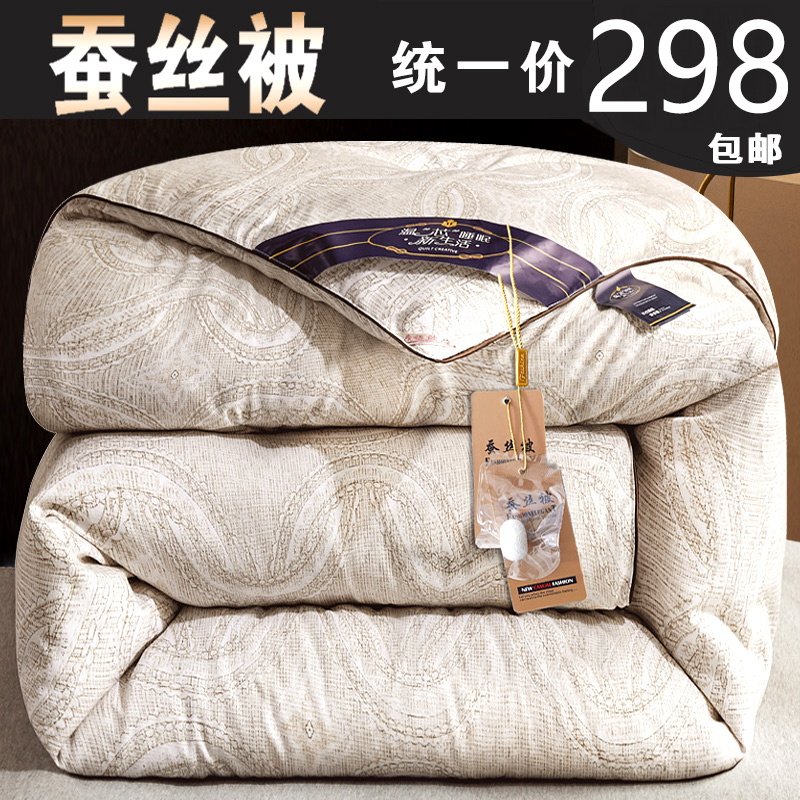 全棉蚕丝被冬被加厚保暖丝棉被双人春H秋被太空被空调被子冬季被