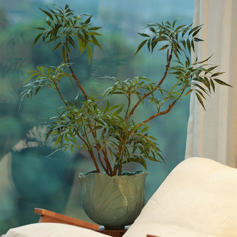 采购产品森空间人h造花,高端写实植物,大型盆栽植物,室内桌面装饰