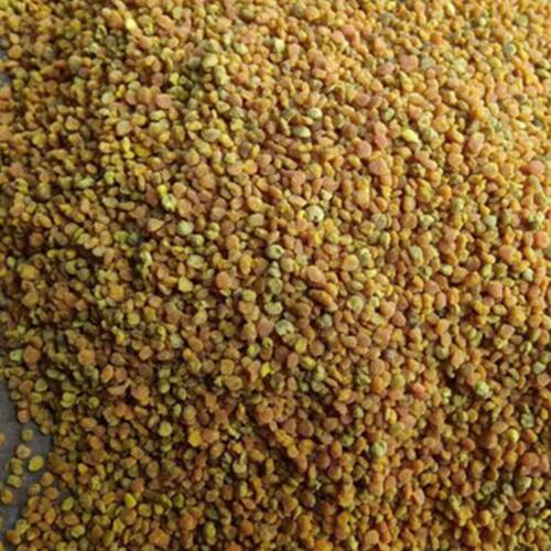 蜜蜂采集的葵花蜂花粉 向日葵花粉250g 蜜蜂花粉葵花花粉
