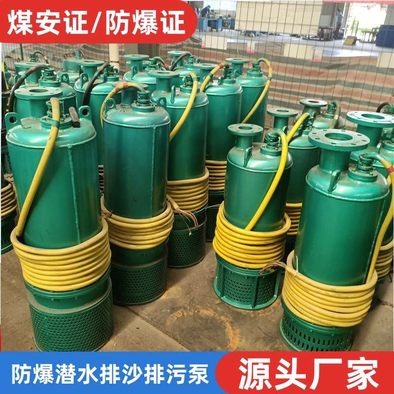 BQS矿用隔爆型潜水排沙电泵10-23-1.5KW防爆潜水排污泵660V1140V