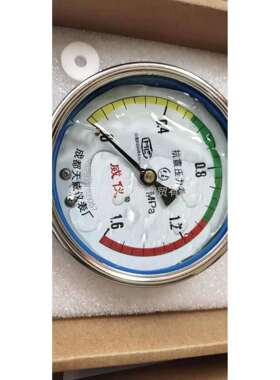 成都天威压力表耐震轴向不带边压力表YN100Z