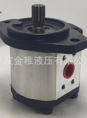 AZPN-11-032RDC07KB-S0081 齿轮泵煤矿机械用液压泵