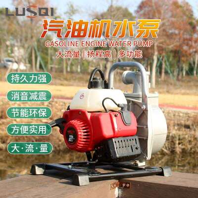禄斯奇汽油机水泵1E40F-6小型二冲程单缸1.34/HP 抽水机农用