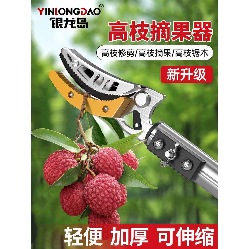 摘酸枣采摘水果荔枝芒果龙眼神器伸缩杆高空剪果树修剪专用高枝剪