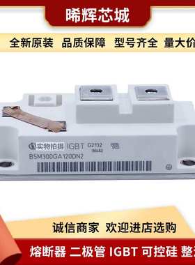 BSM100GD60DLC BSM150GD60DLC 功率igbt模块型号齐全 标准封装