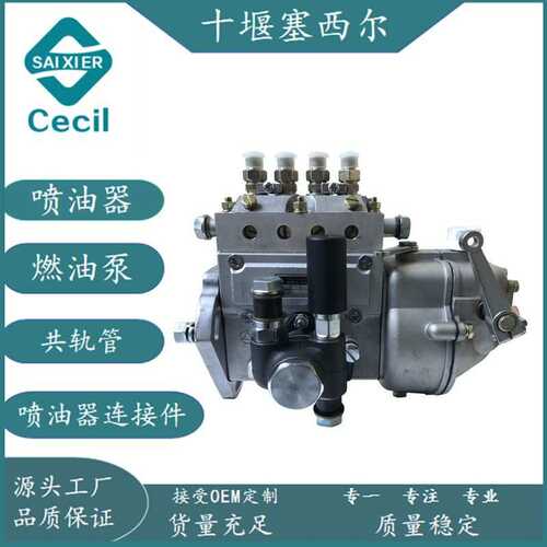 适用于工程机械发动机配件柴油燃油泵喷射泵4BQ1109GY-85 左 1150